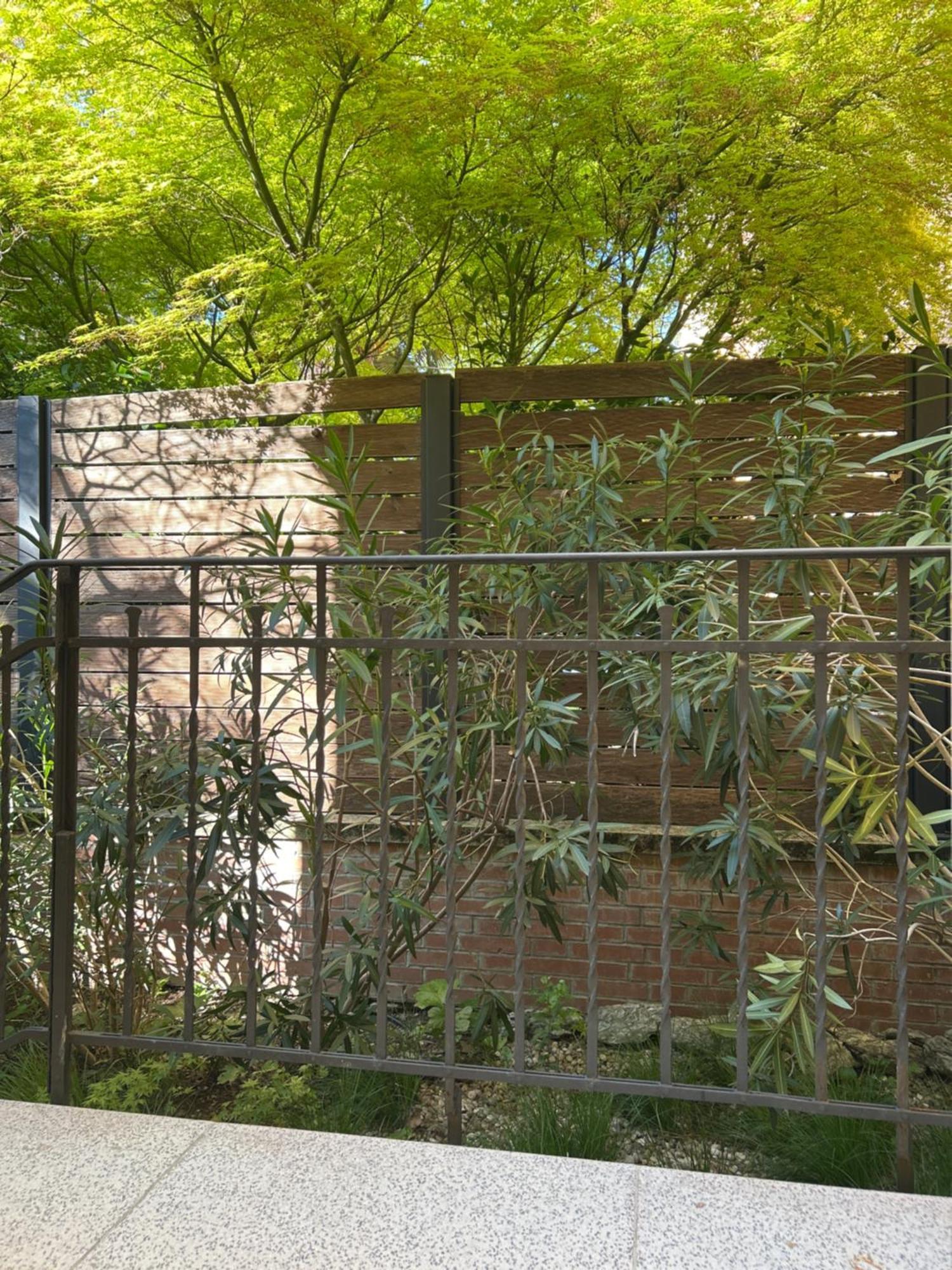 博洛尼亚Urban Jungle公寓 外观 照片